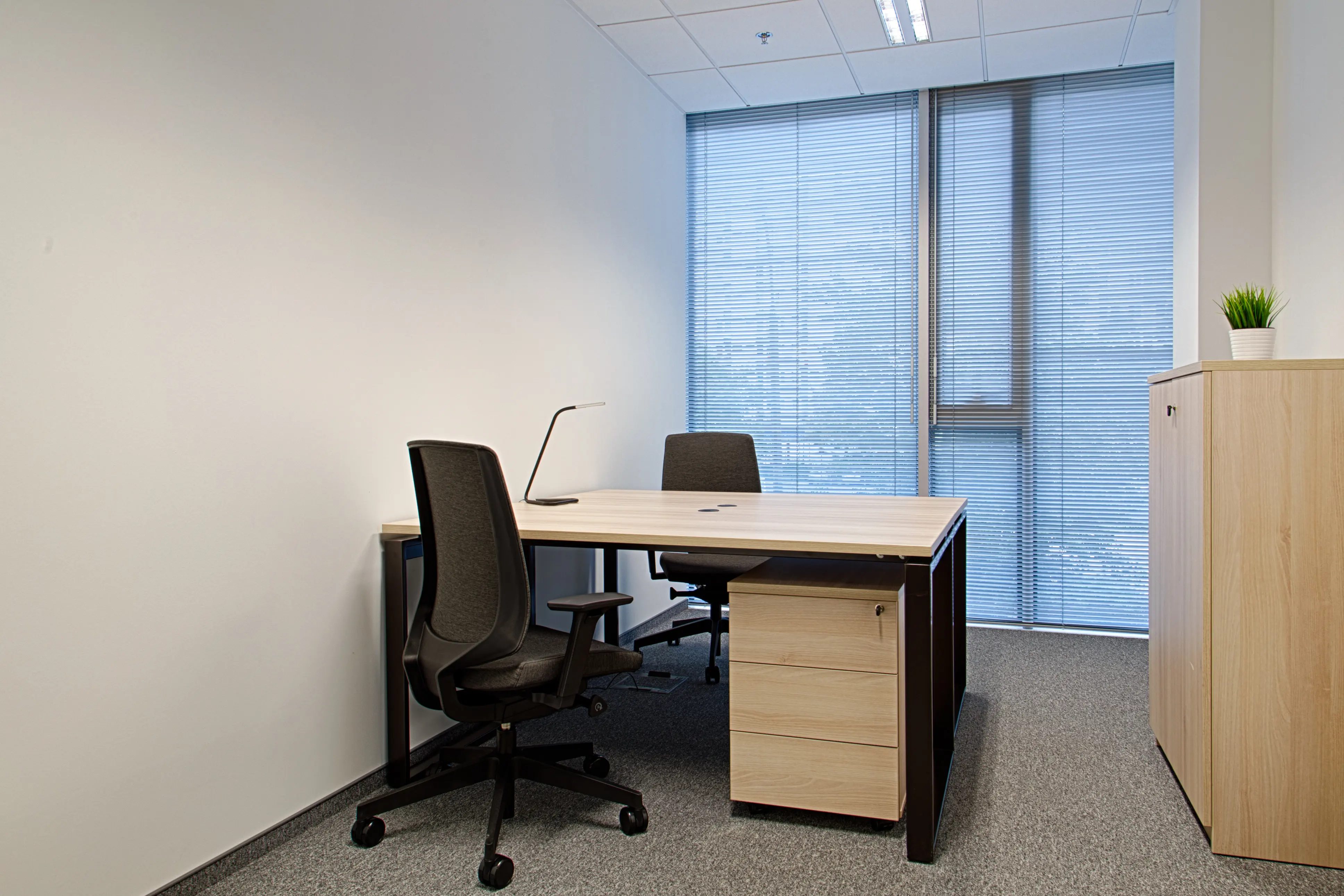 G43 Grzybowska, Grzybowska 43, Wola, Warszawa