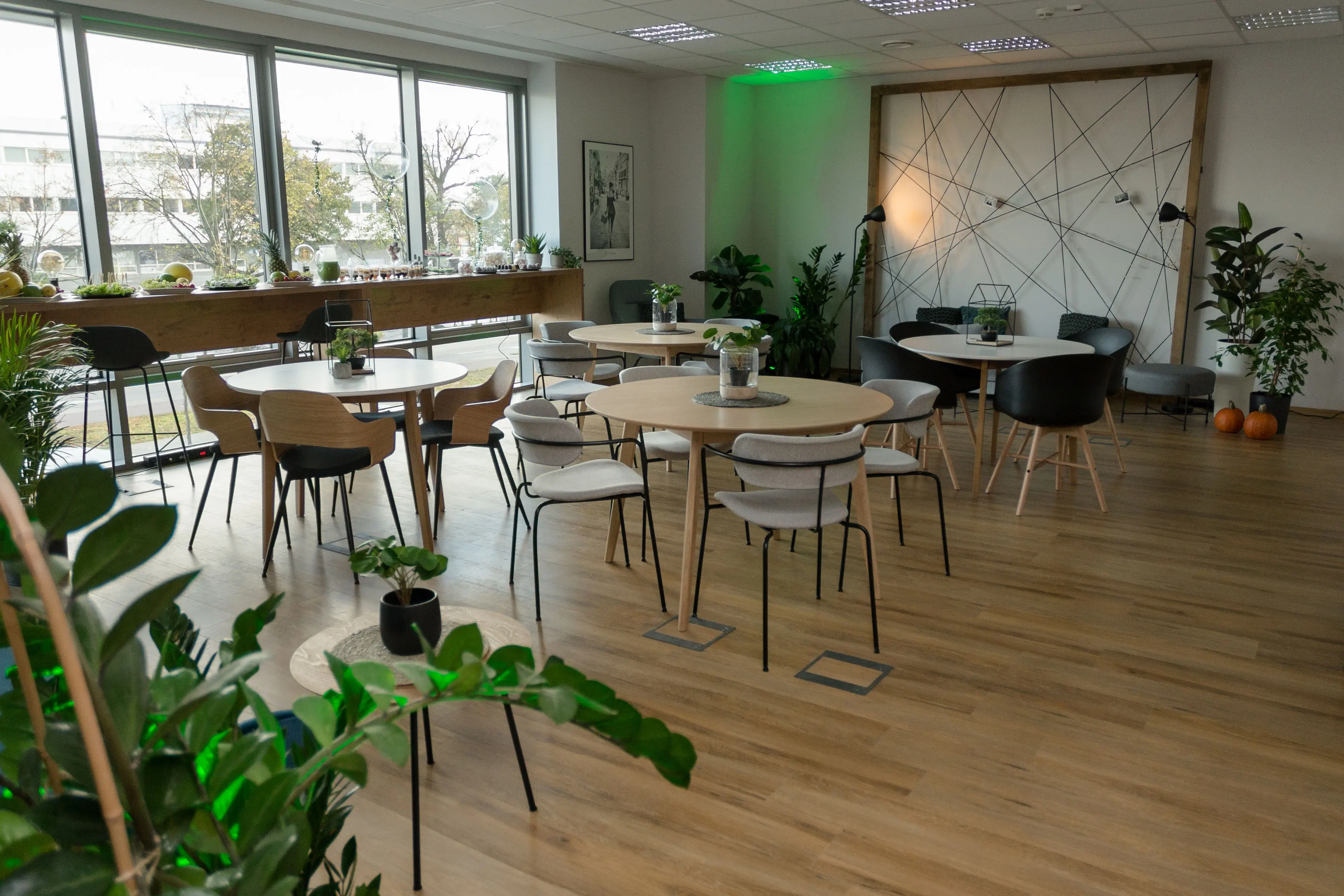 Olivia Gate, Grunwaldzka 472