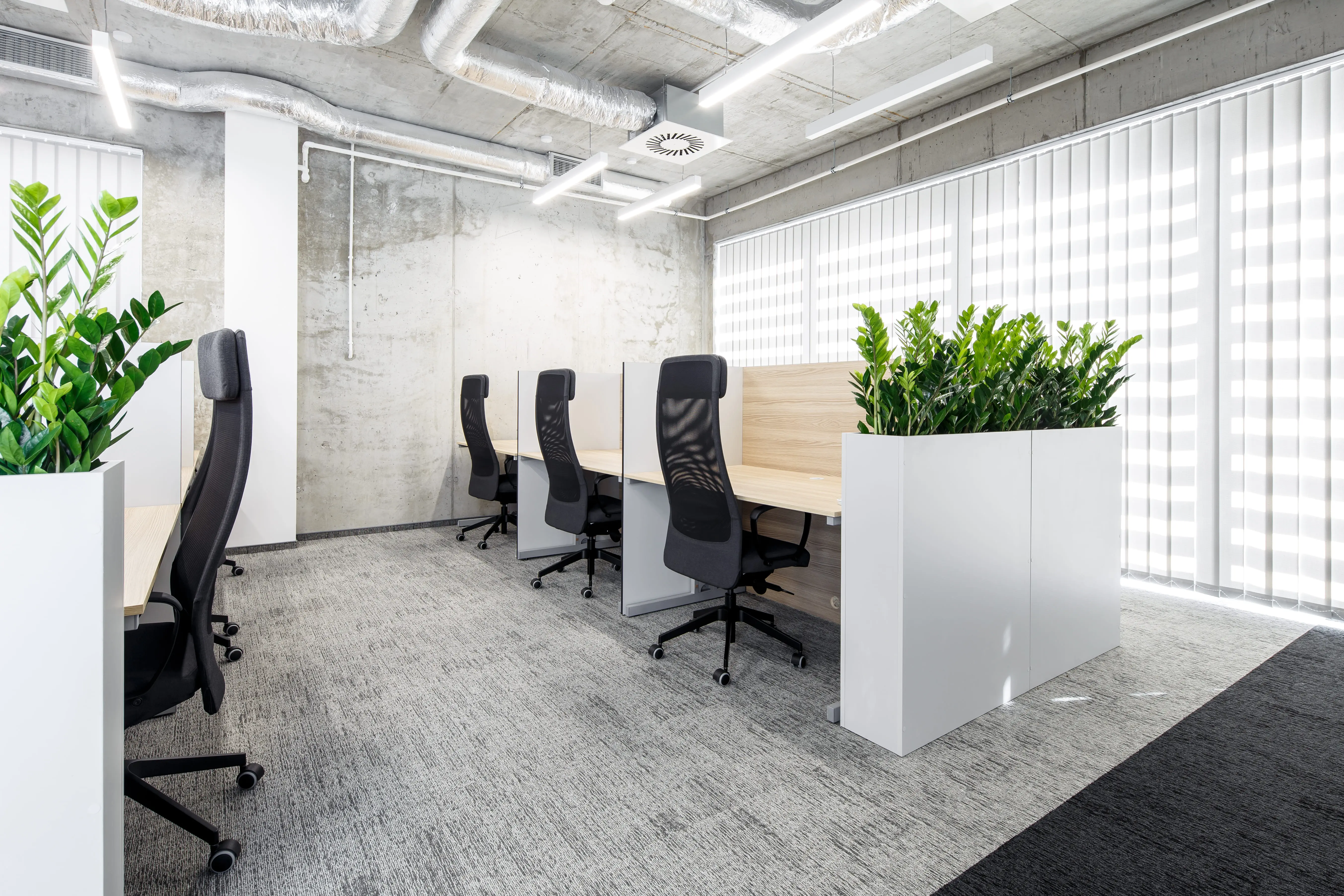 Aloha, Janosika 17, Szczecin