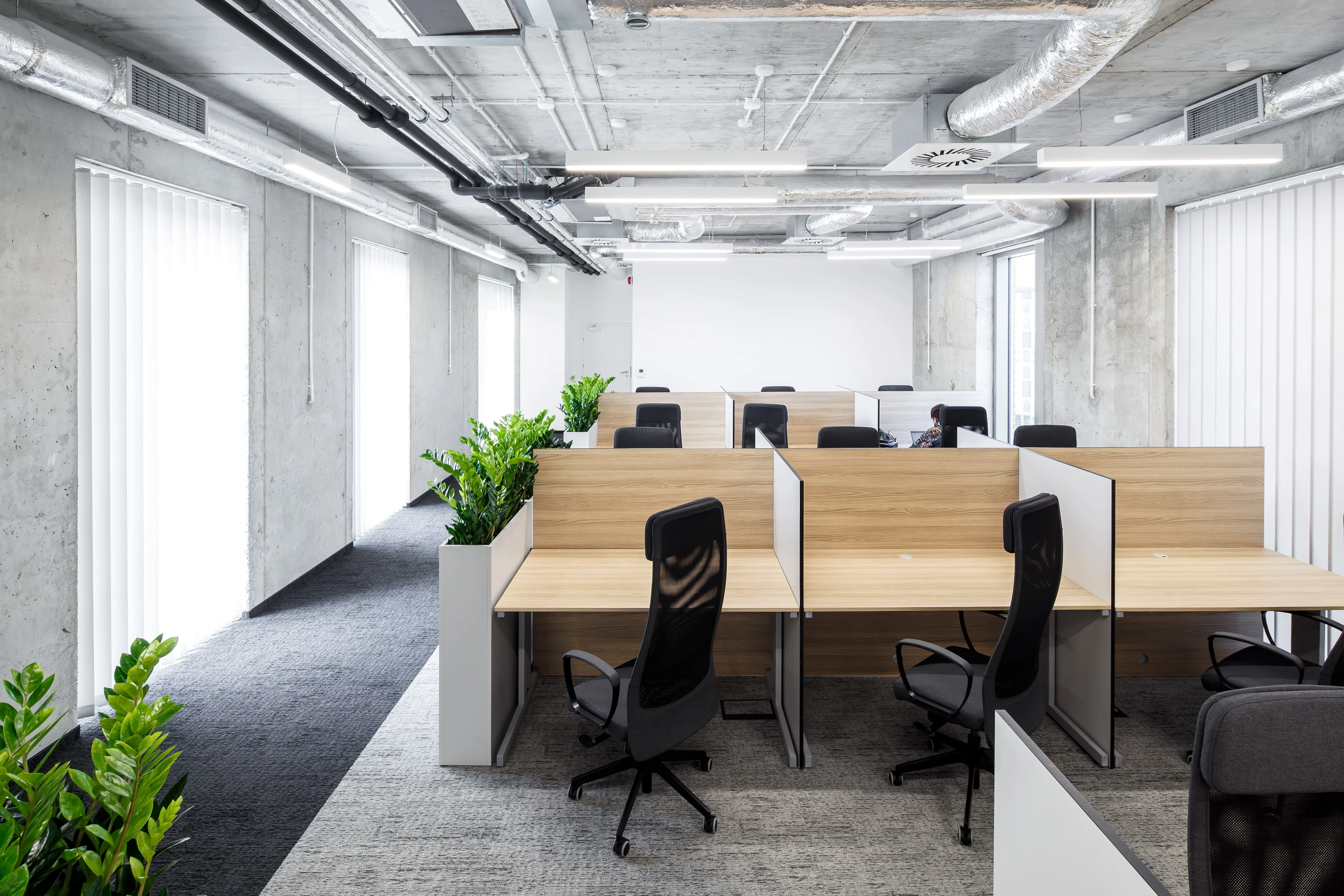 Aloha, Janosika 17, Szczecin