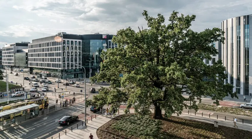 Aquarius Business House, ulica Swobodna 1, Stare Miasto, Wrocław