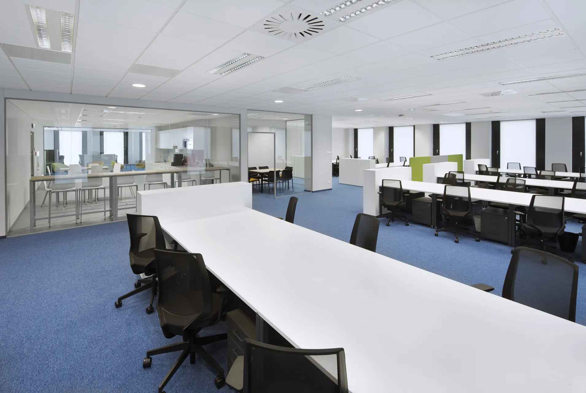 Nobilis, Marii Skłodowskiej Curie 12, Śródmieście, Wrocław