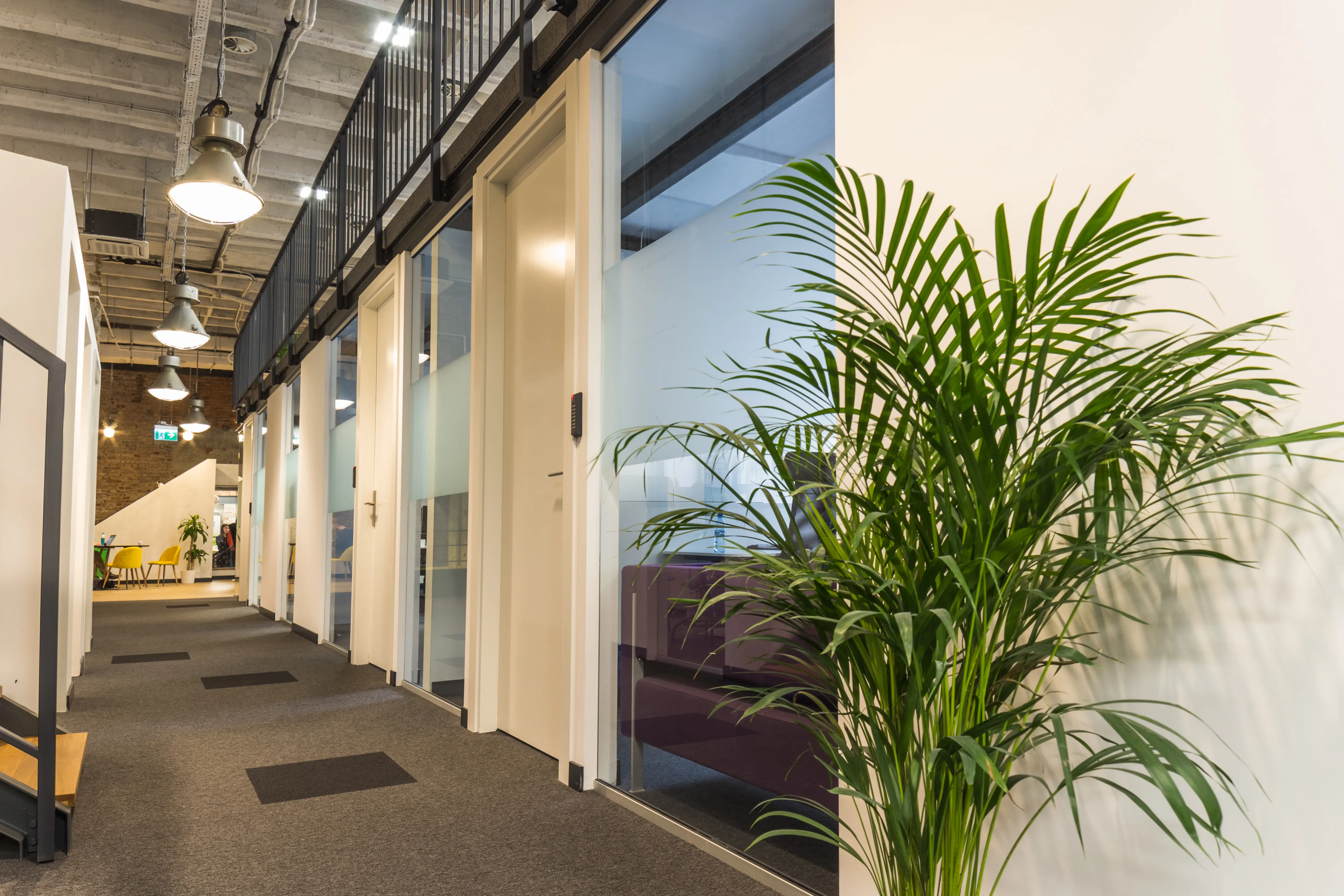 Cluster Józefitów, Józefitów 8, Krowodrza, Kraków