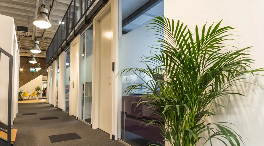 Cluster Józefitów, Józefitów 8, Krowodrza, Kraków