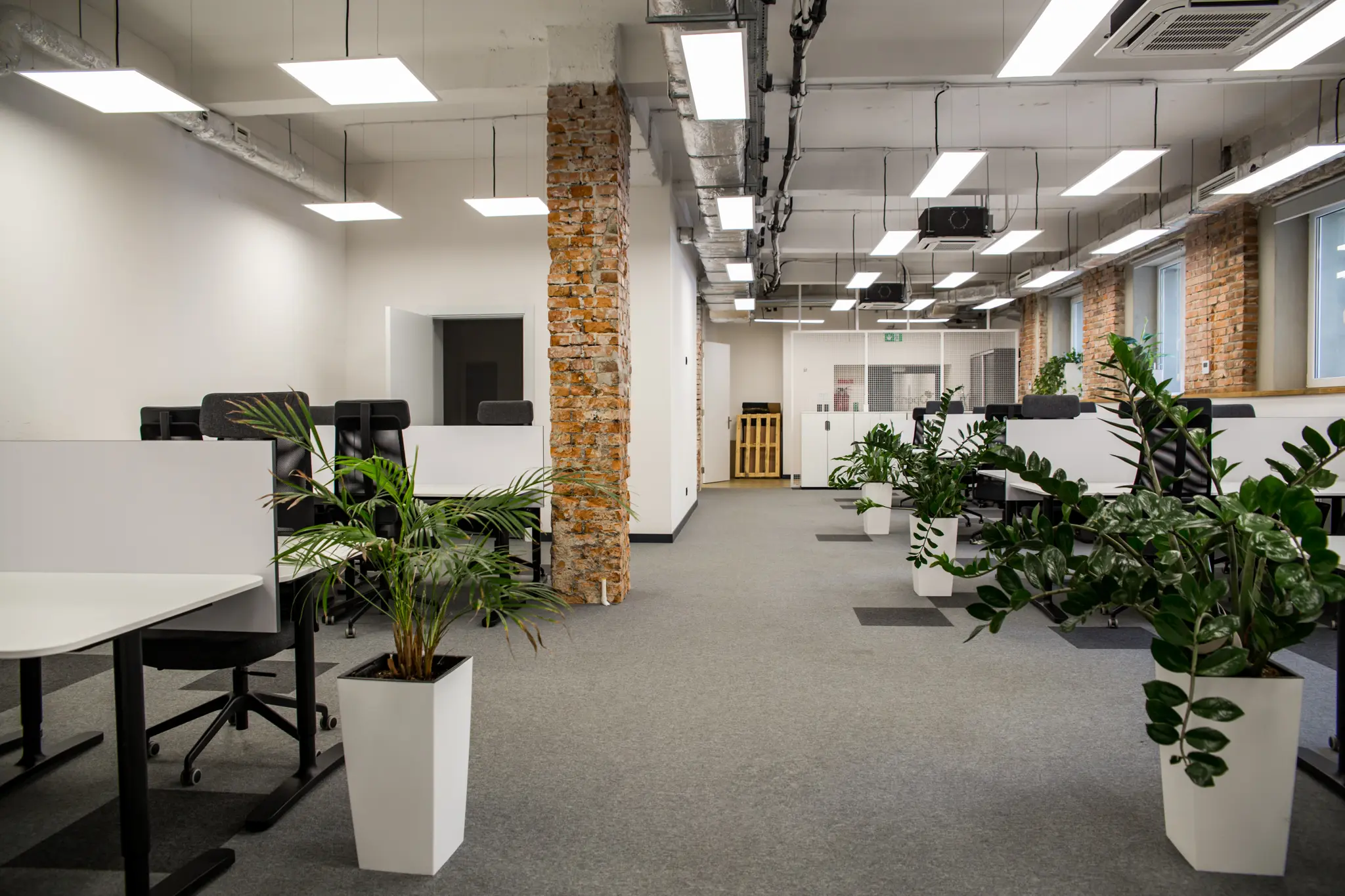 Cluster Józefitów, Józefitów 8