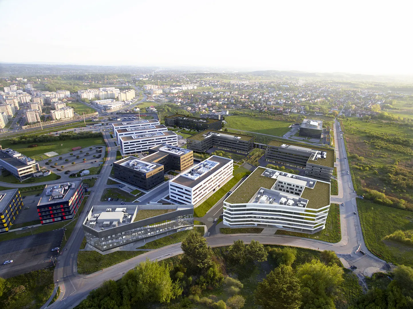 DOT OFFICE L1, Czerwone Maki 87