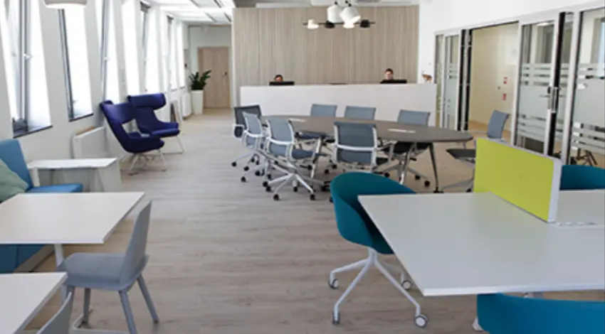 Pegaz, Grabarska 1, Stare Miasto, Wrocław