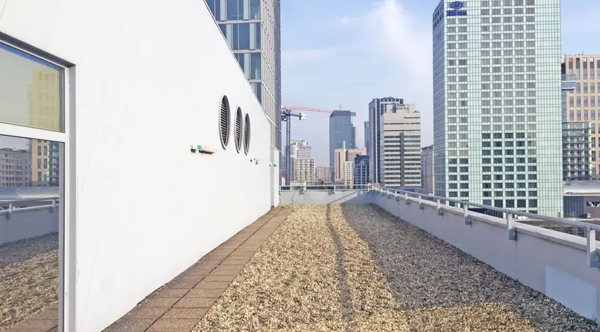 OptiOffice Kolmex Grzybowska, Grzybowska 80/82, Wola, Warszawa