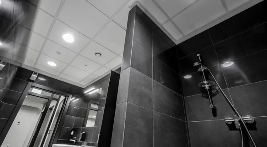 K9, Krysiewicza 9, Stare Miasto, Poznań