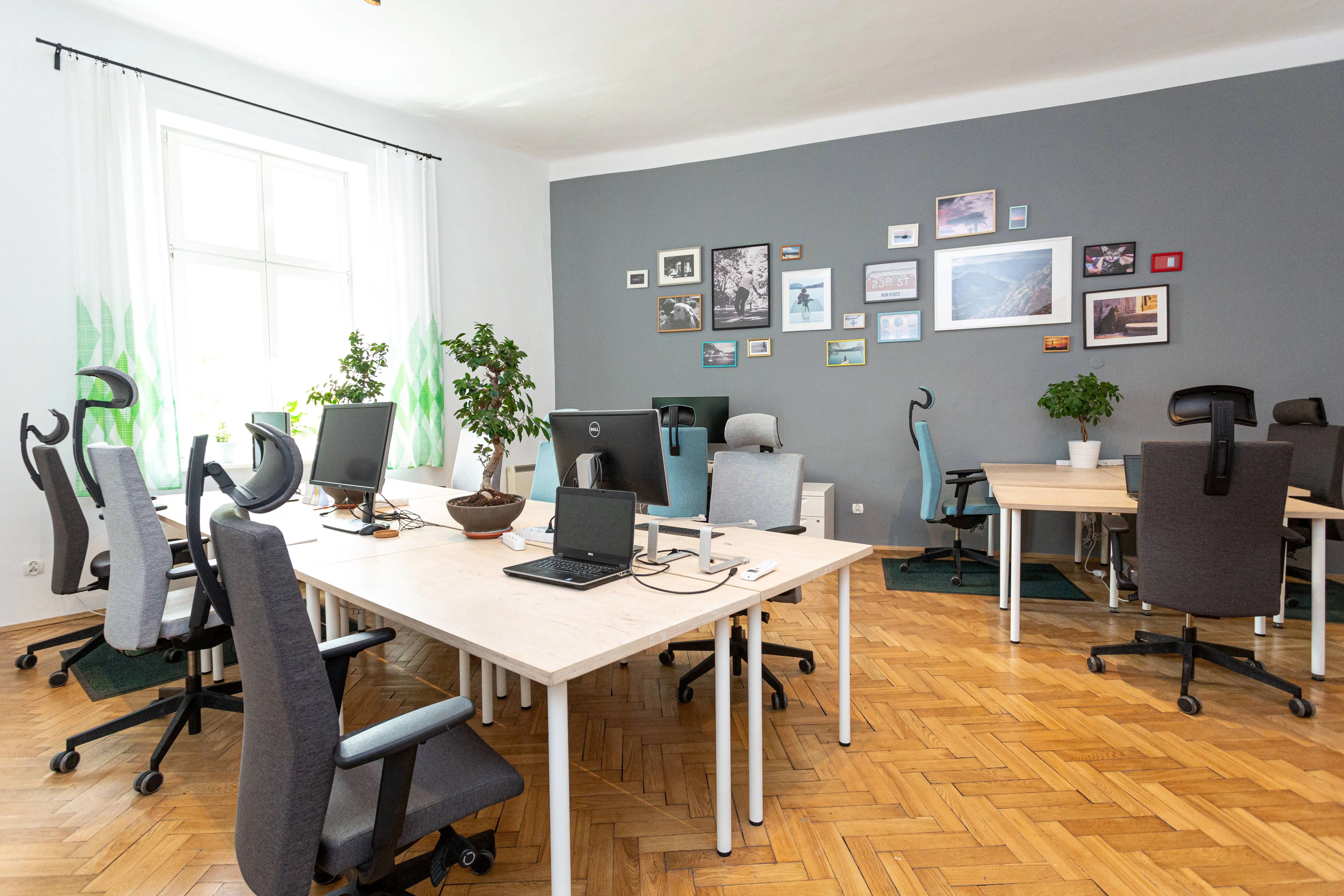 Kalafiornia Coworking Sebastiana, Św. Sebastiana 33, Śródmieście, Kraków