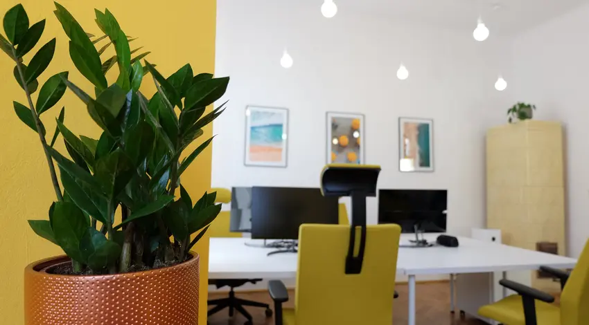 Kalafiornia Coworking Sebastiana, Św. Sebastiana 33, Śródmieście, Kraków