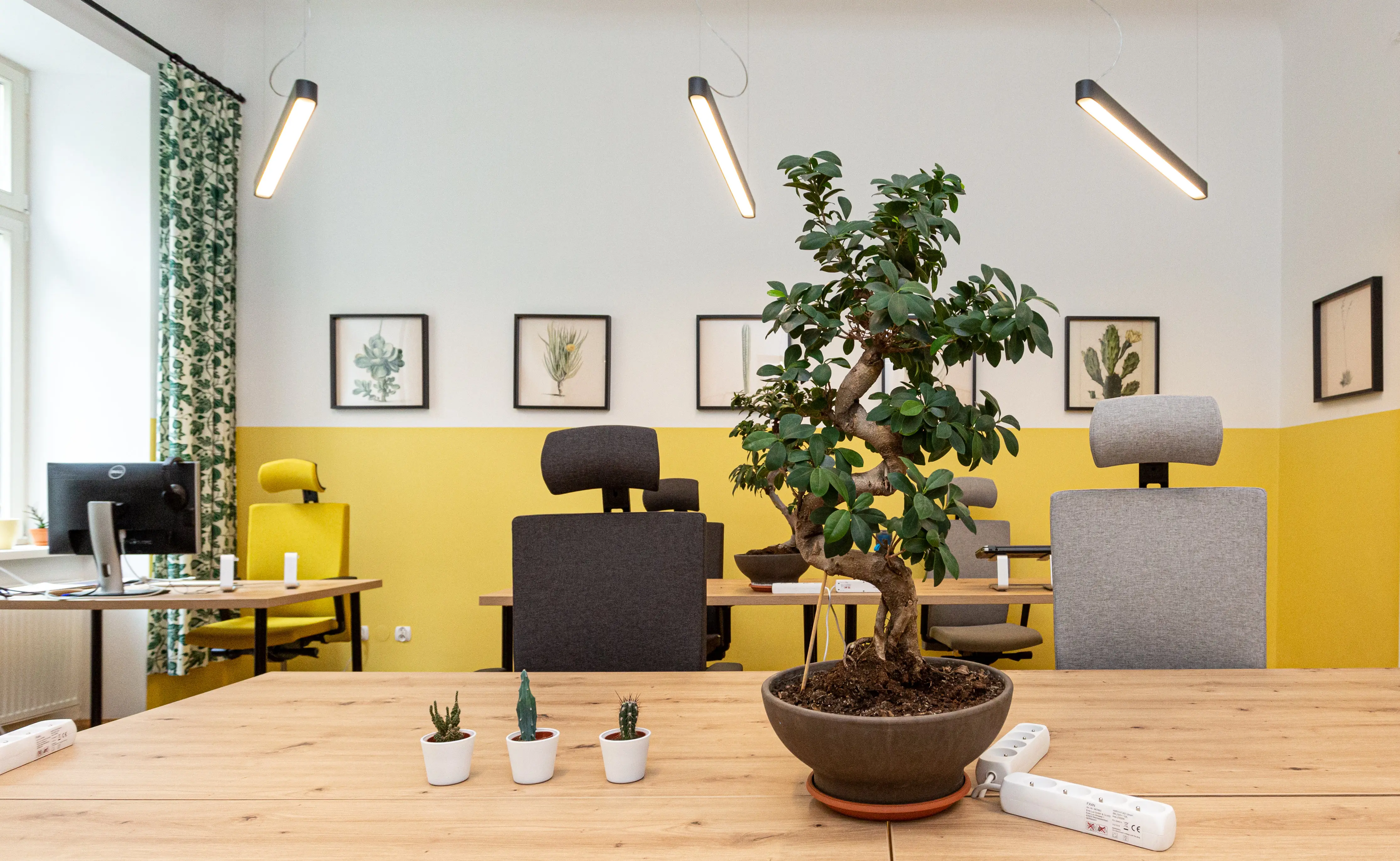 Kalafiornia Coworking Sarego, Sarego 18