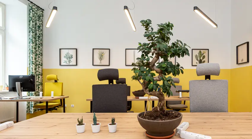 Kalafiornia Coworking Sarego, Sarego 18, Śródmieście, Kraków
