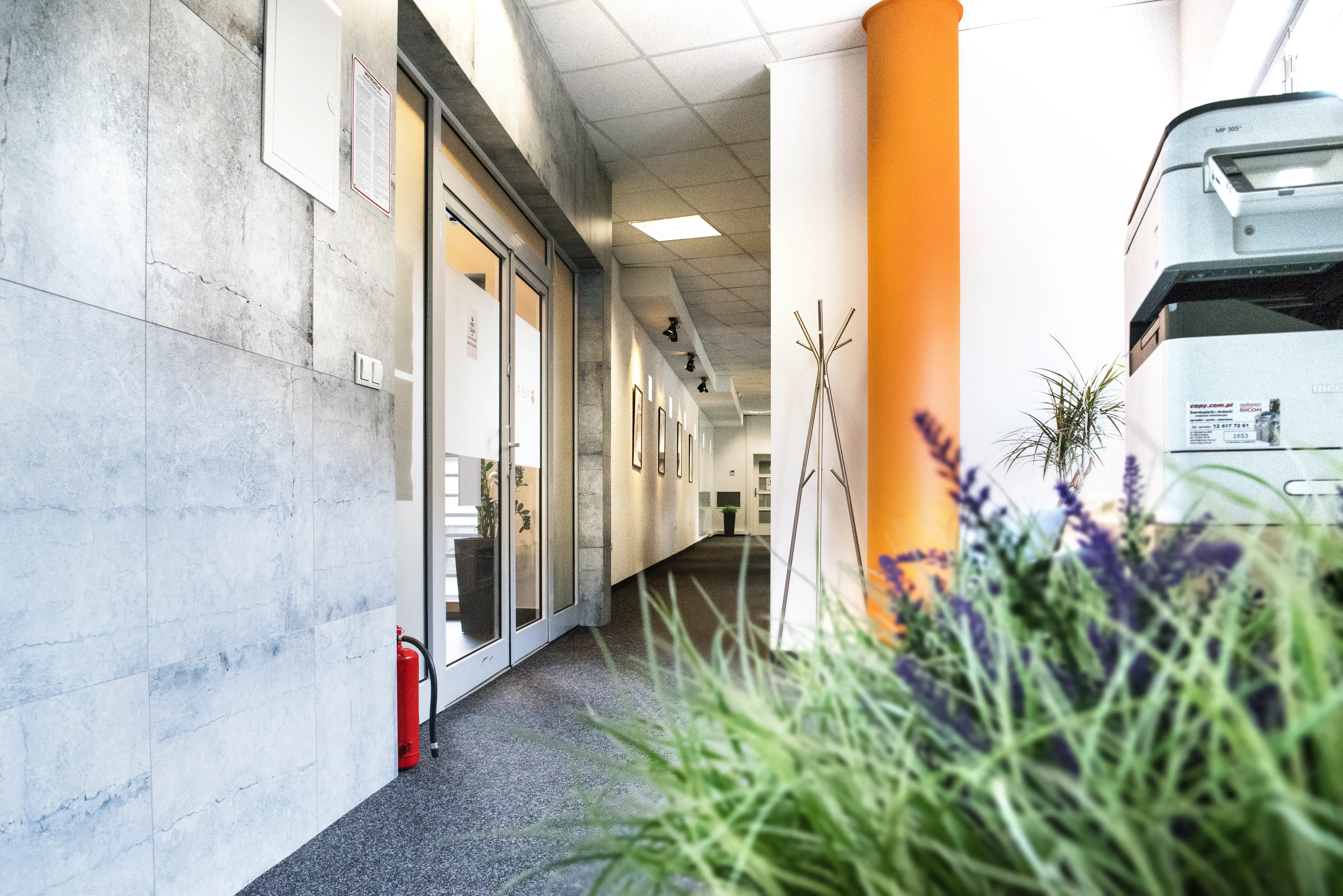 Kraków Królewska, Królewska 65a/1, Królewska 65 A, Krowodrza, Kraków