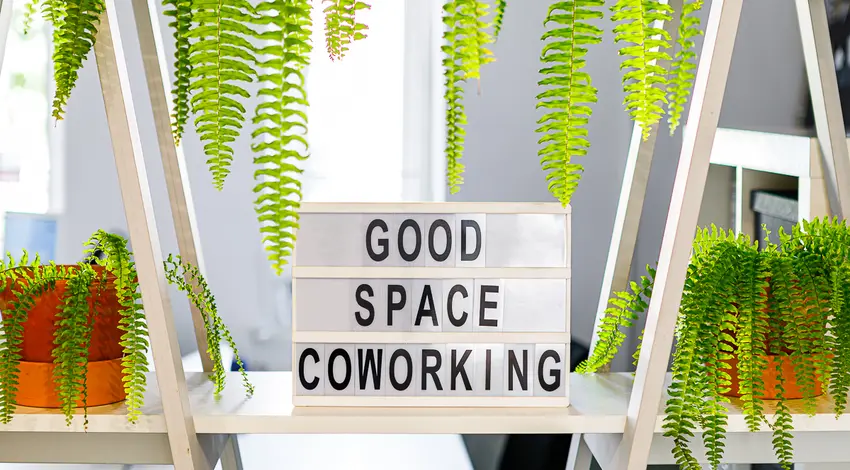 Małachowskiego 8, Małachowskiego 8/2, Wrzeszcz, Gdańsk