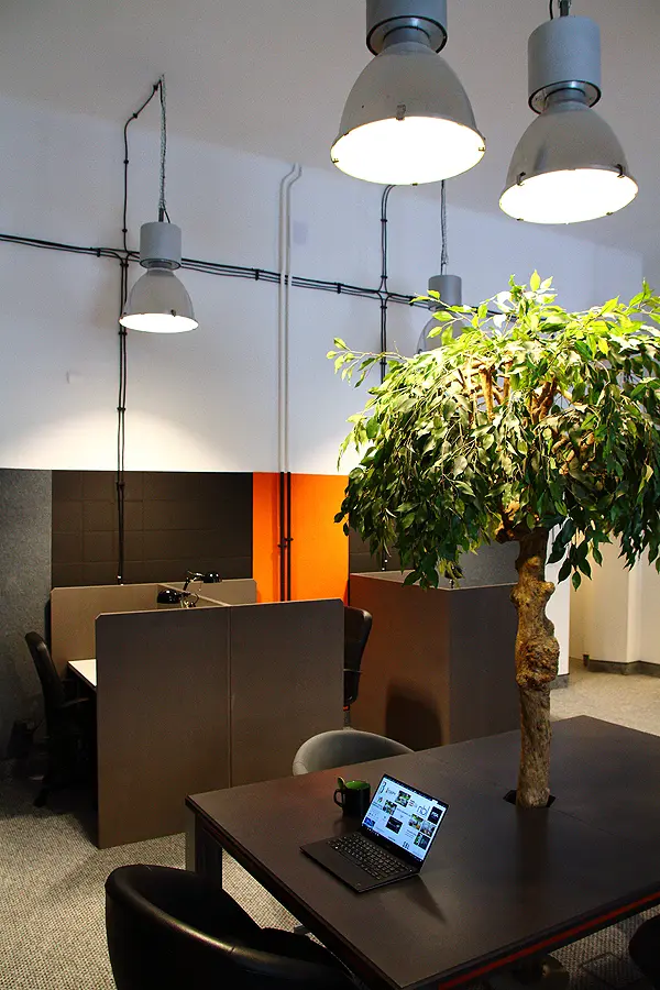 Nowy Świat 41 A, Nowy Świat 41 A