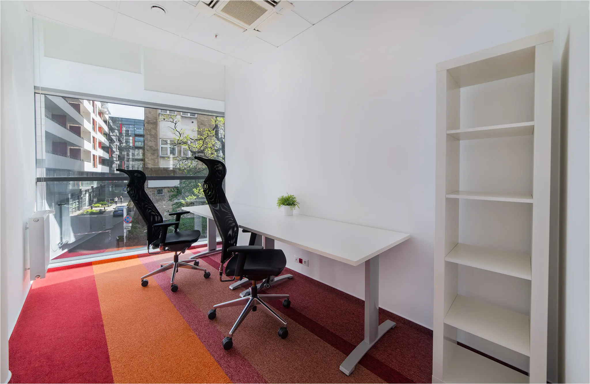 Piękna 24/26A, Piękna 24/26A