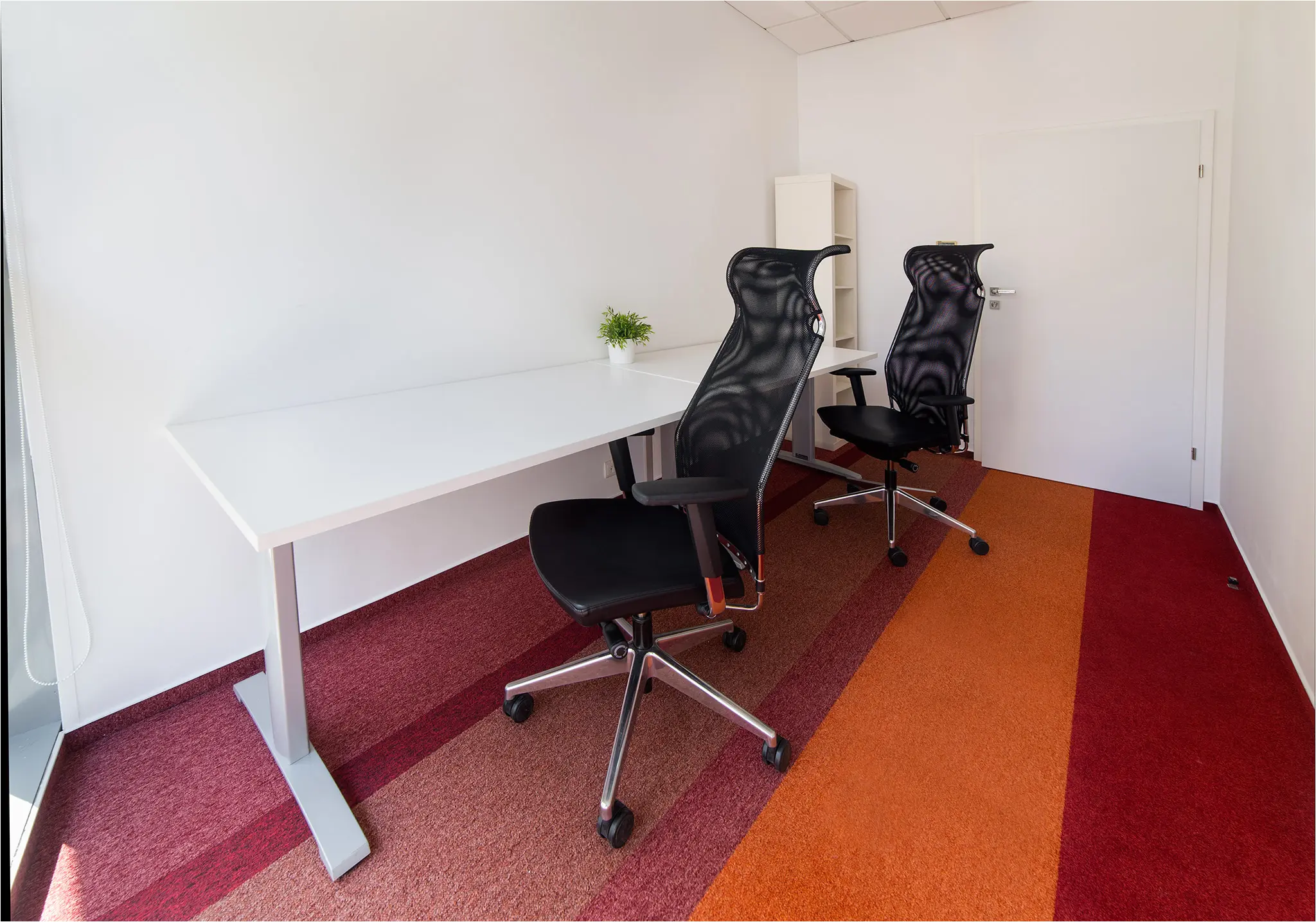 Piękna 24/26A, Piękna 24/26A