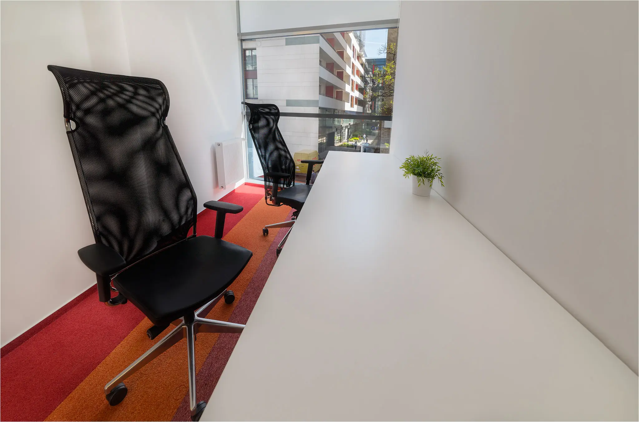 Piękna 24/26A, Piękna 24/26A