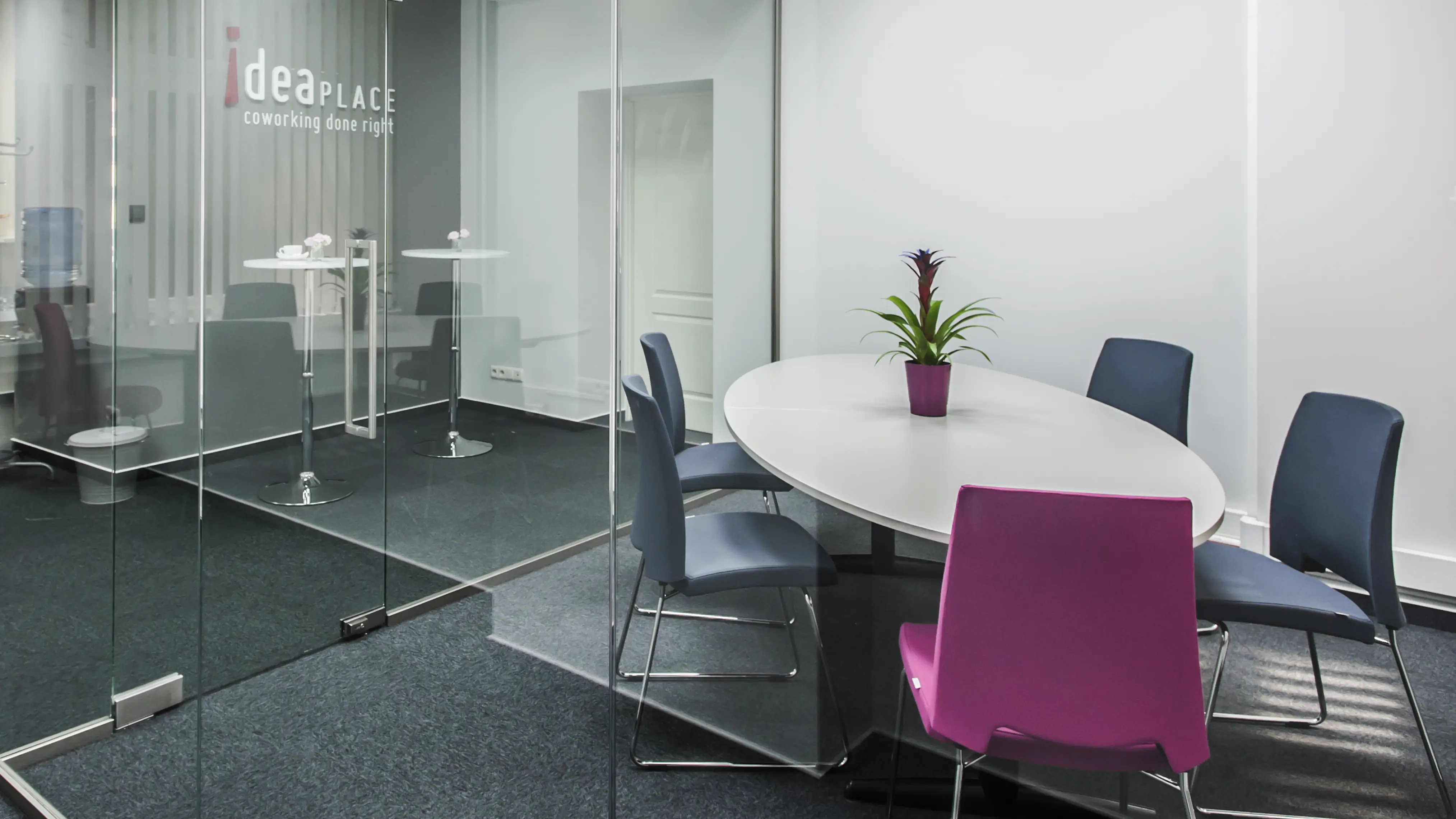 Pl. Solny 15, Solny 15, Stare Miasto, Wrocław