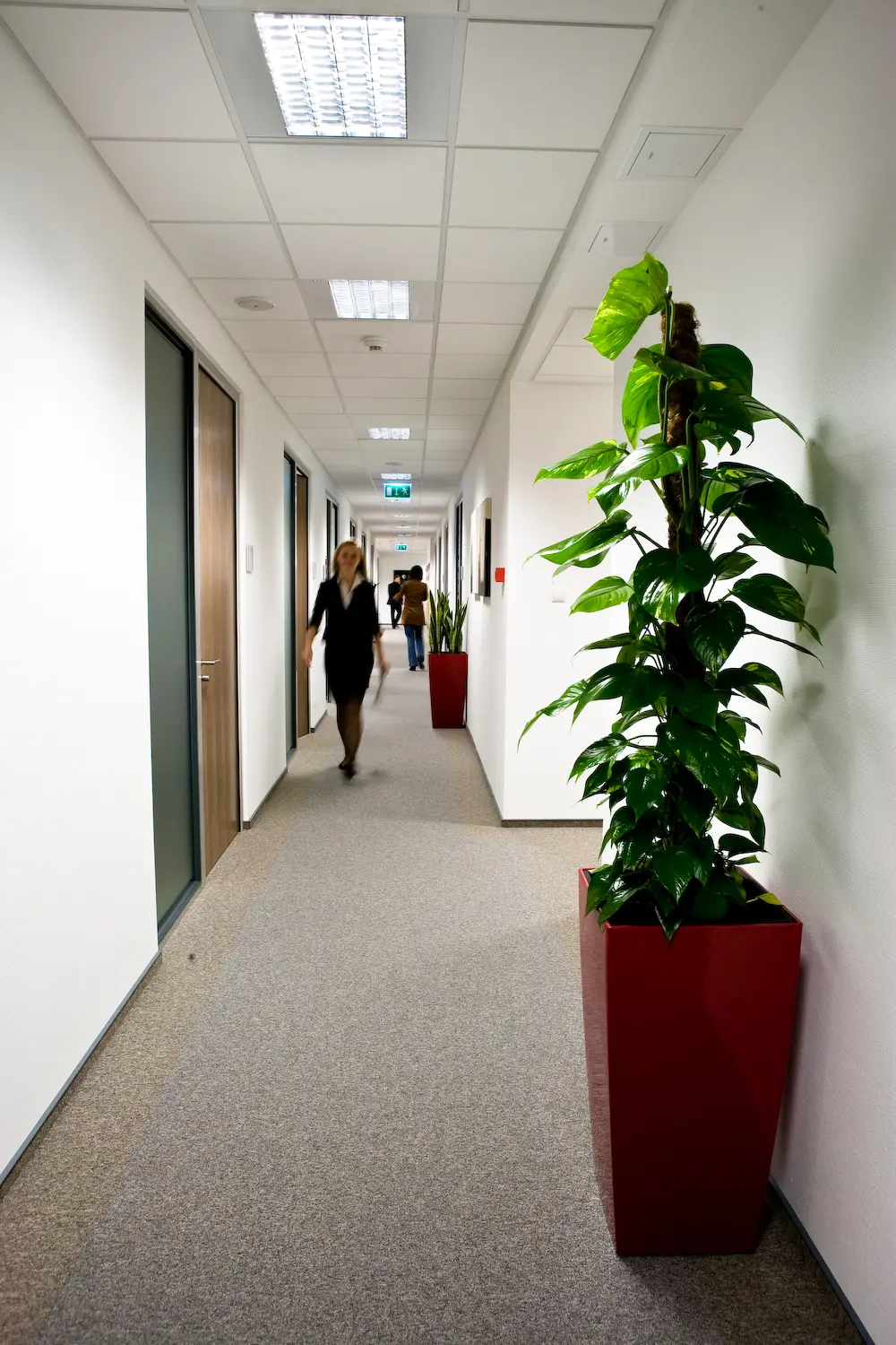 Regus Marynarska Point II, Postępu 15c