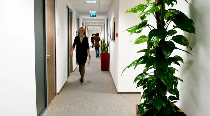 Regus Marynarska Point II, Postępu 15c, Mokotów, Warszawa