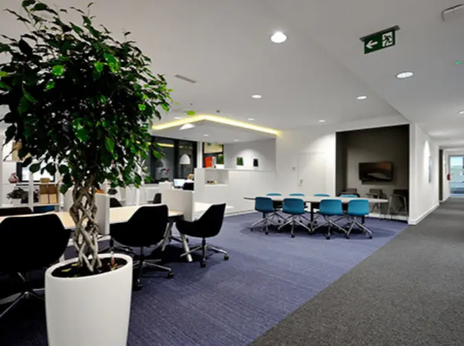 Graffit House, Rogozińskiego 6, Śródmieście, Kraków