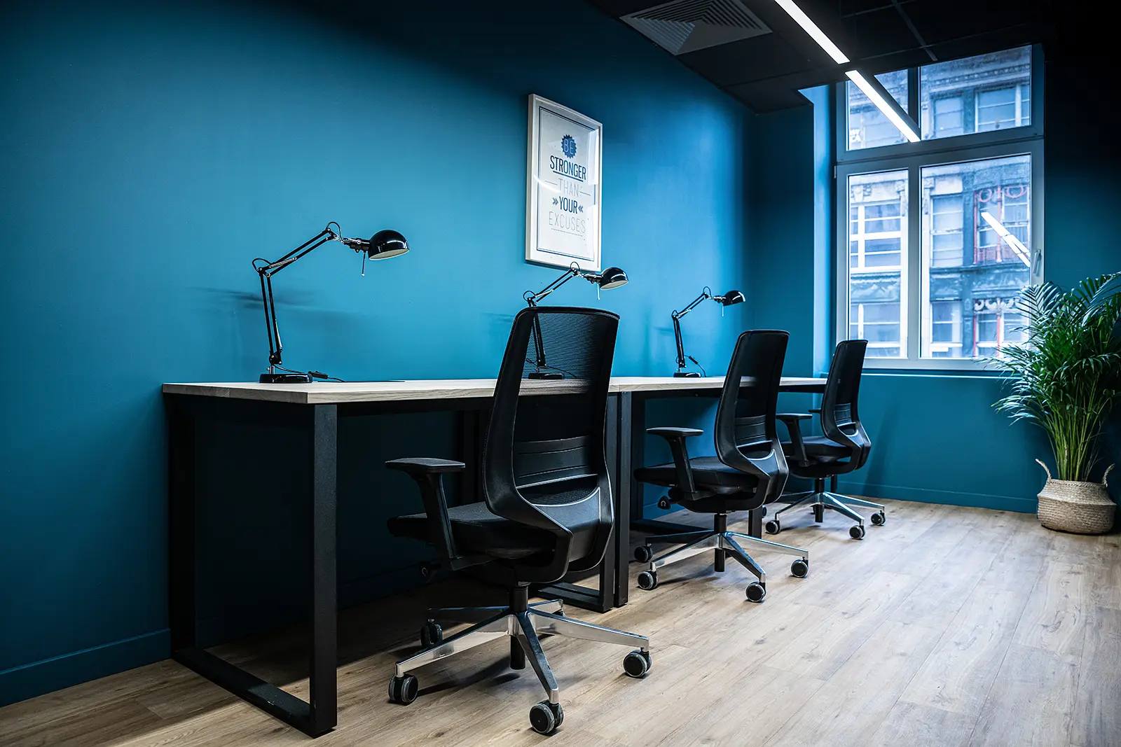 Świdnicka 12-16, Świdnicka 12-16, Stare Miasto, Wrocław