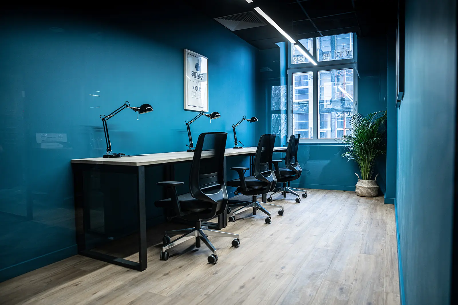 Świdnicka 12-16, Świdnicka 12-16, Stare Miasto, Wrocław