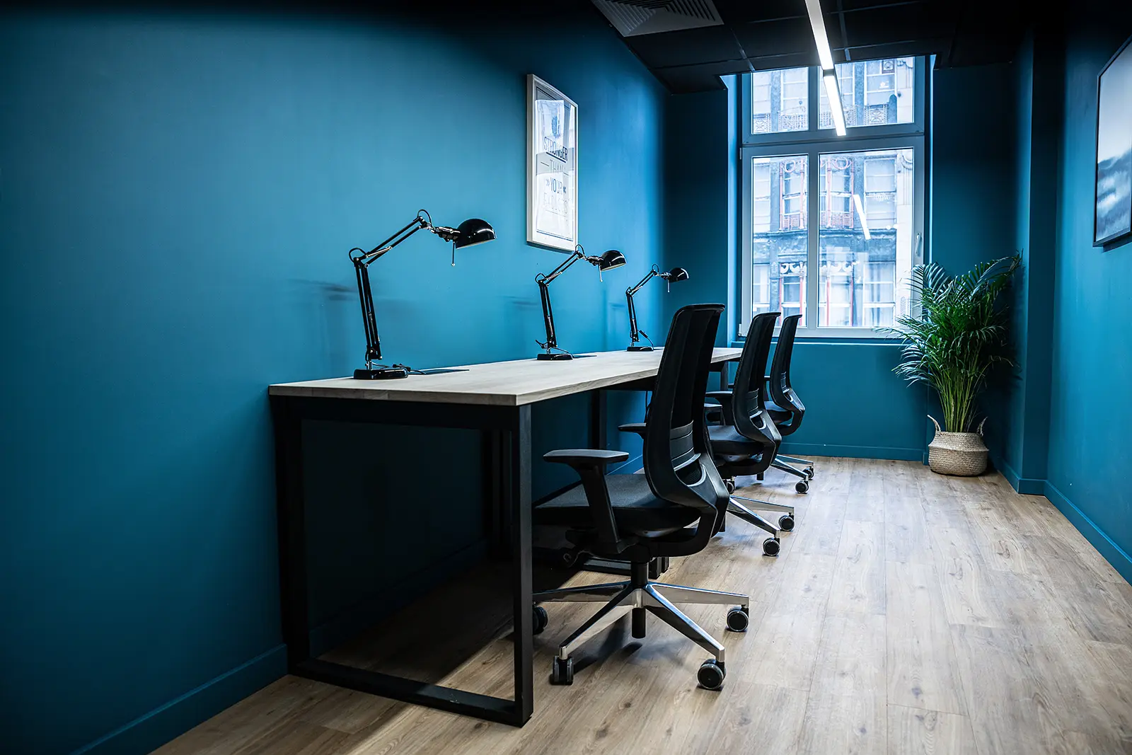 Świdnicka 12-16, Świdnicka 12-16, Stare Miasto, Wrocław