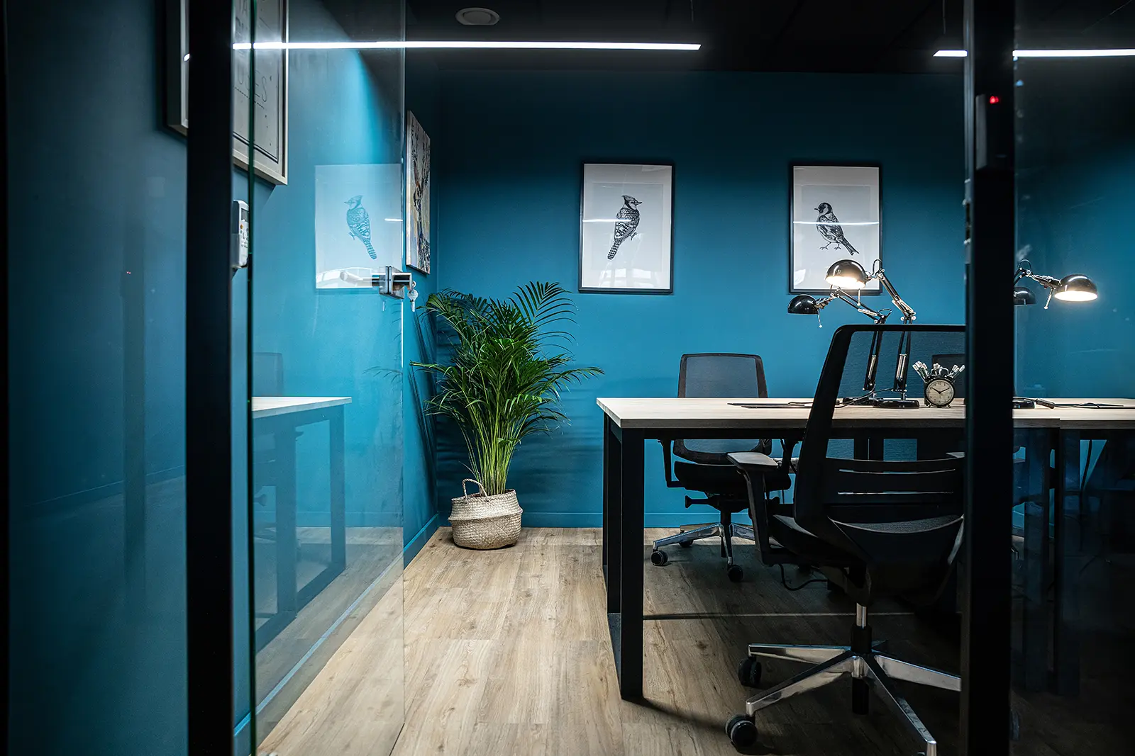 Świdnicka 12-16, Świdnicka 12-16, Stare Miasto, Wrocław