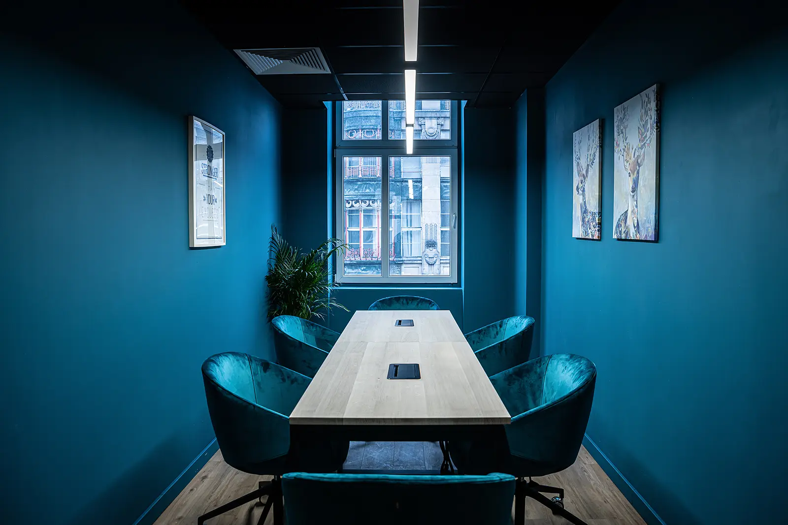 Świdnicka 12-16, Świdnicka 12-16, Stare Miasto, Wrocław