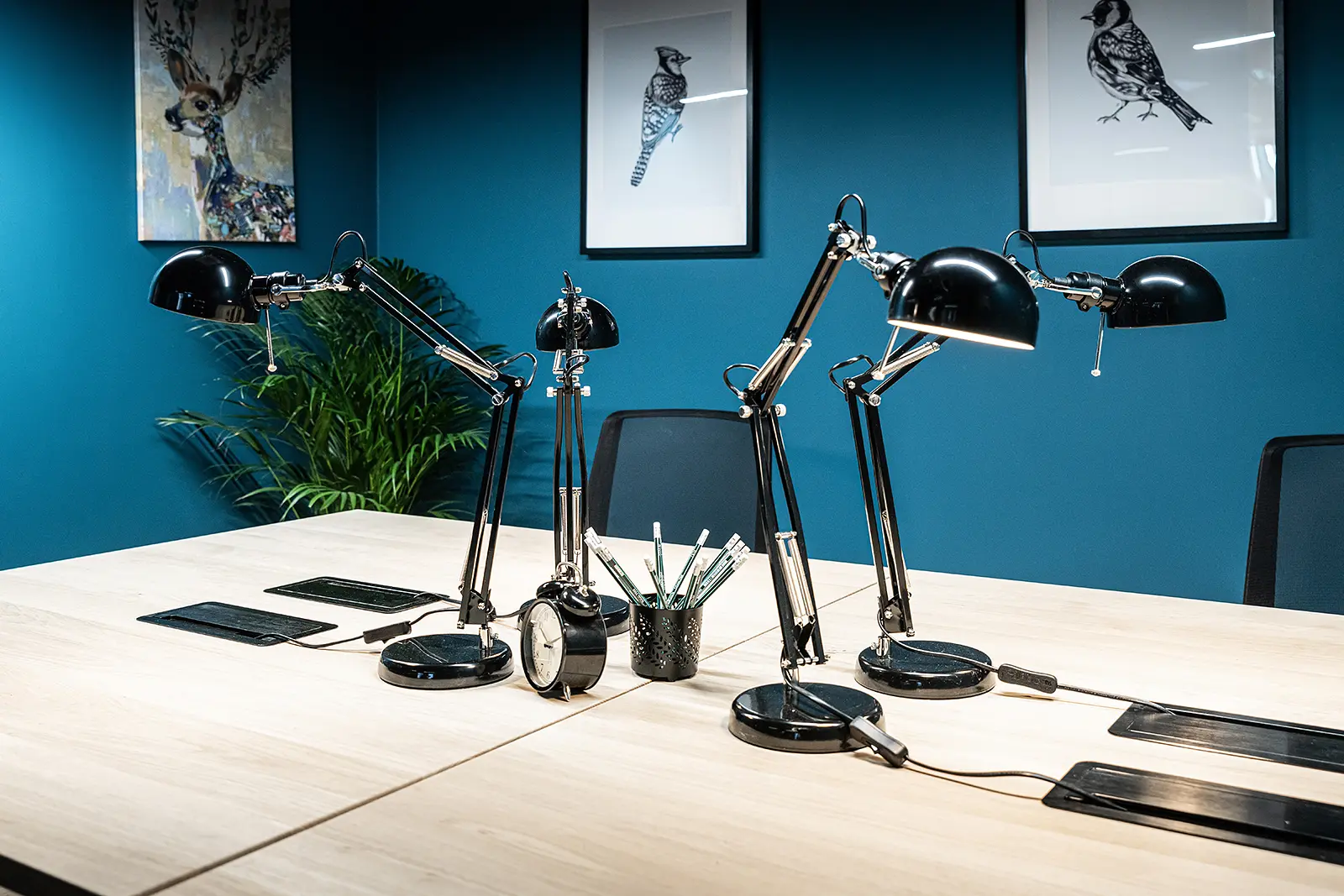 Świdnicka 12-16, Świdnicka 12-16, Stare Miasto, Wrocław