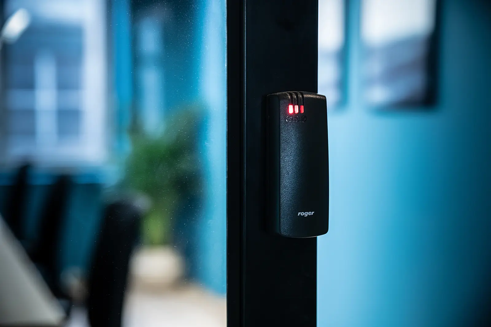 Świdnicka 12-16, Świdnicka 12-16, Stare Miasto, Wrocław