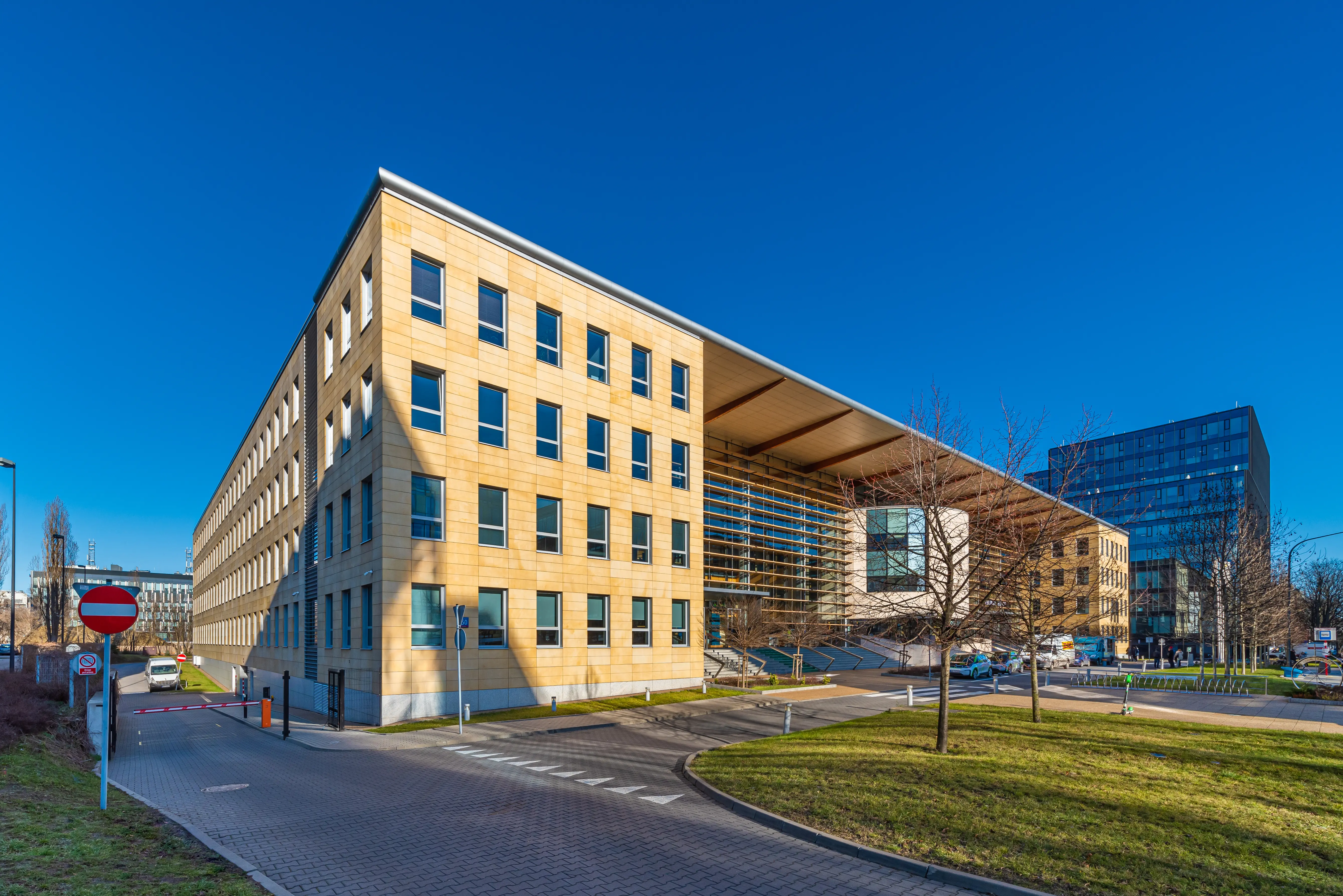 Tulipan House, Domaniewska 50