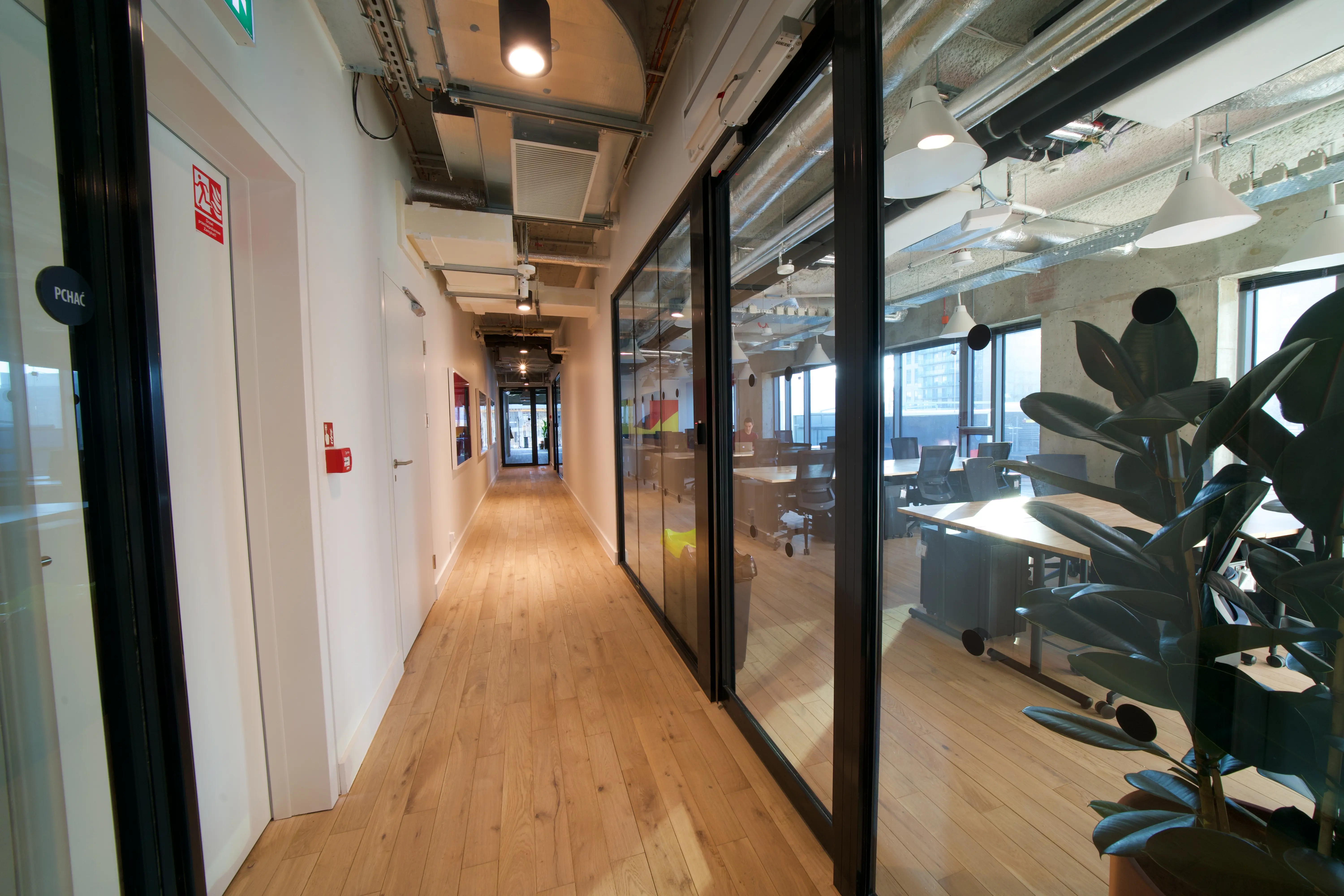 Grzybowska 62, Grzybowska 62