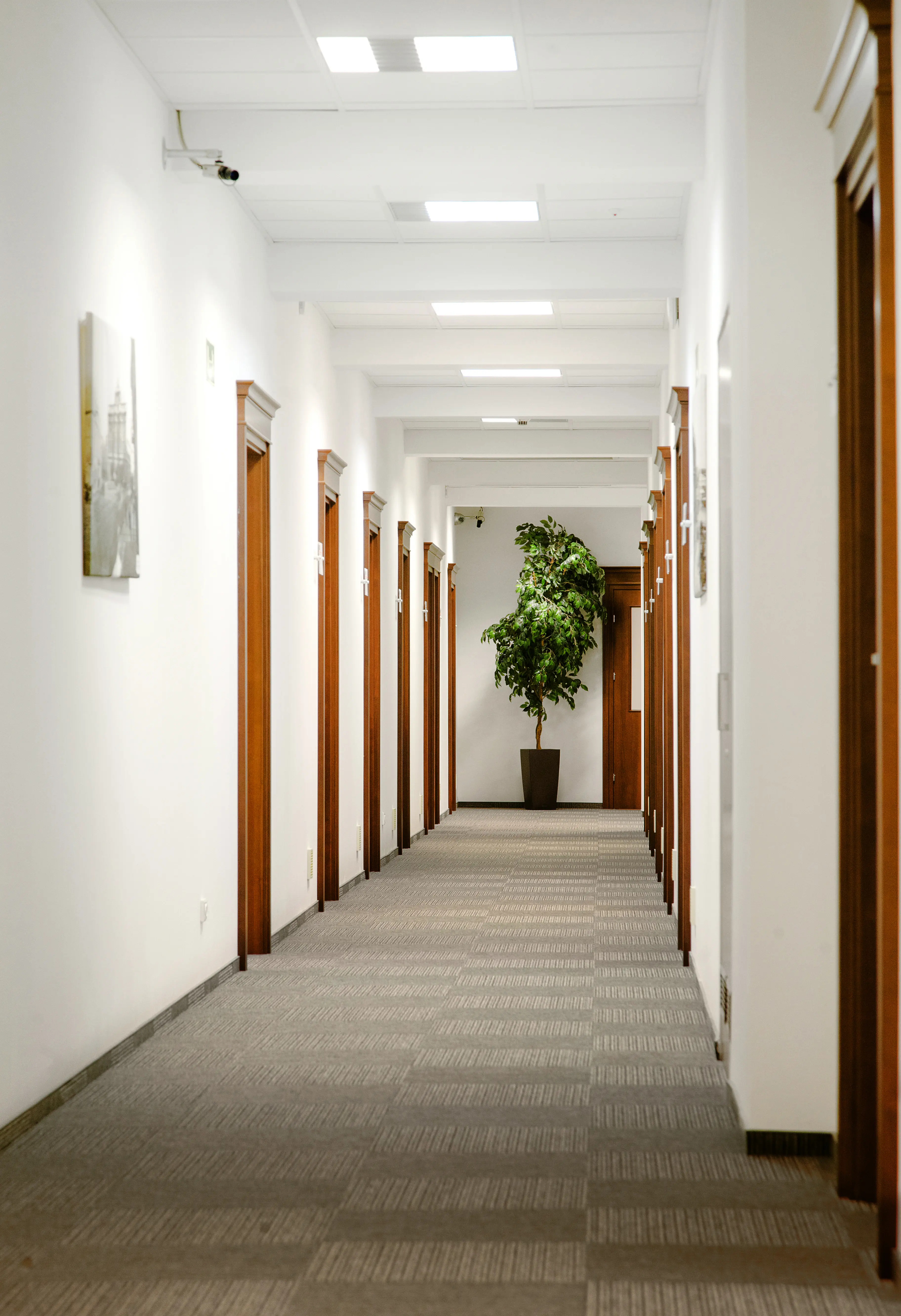 Wierzbowa 9/11, Wierzbowa 9/11, Śródmieście, Warszawa