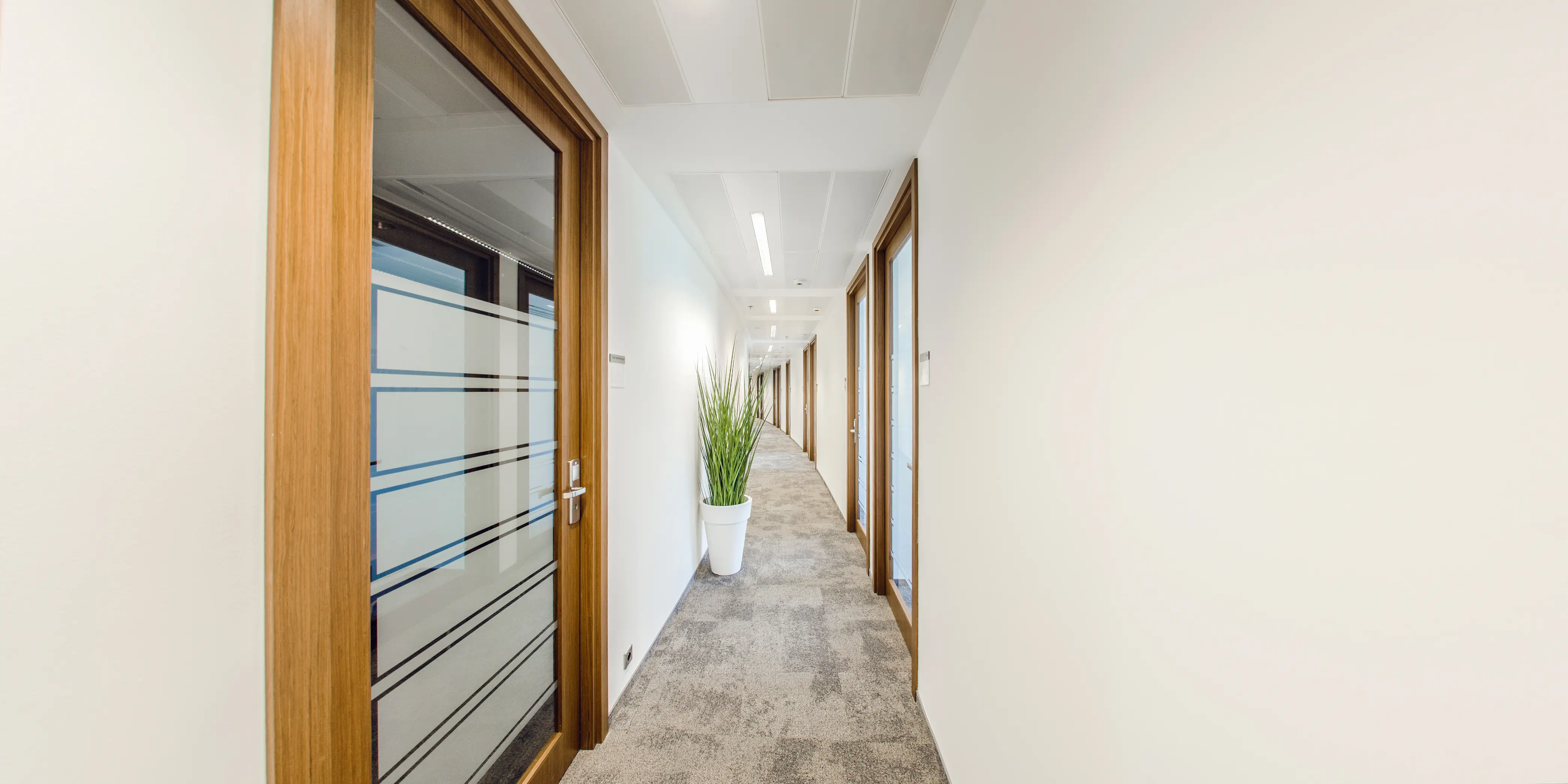 Lumen (9 piętro), Złota 59